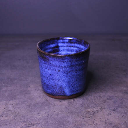 TERMUS BLUE